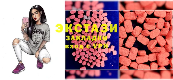 шишки Инта