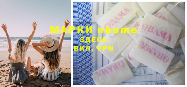 apvp Инсар